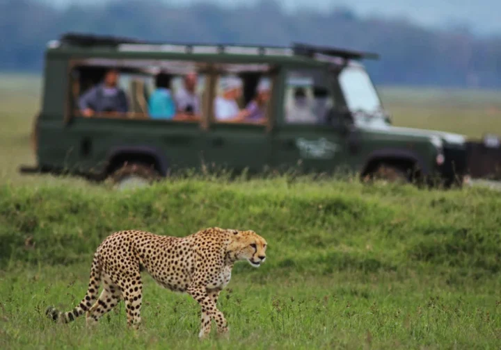 Tours & Travel