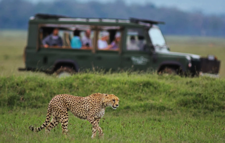 Tours & Travel