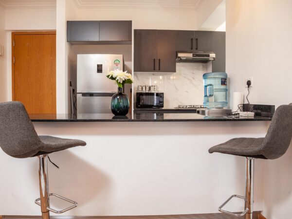 One-Bedroom Furnished Apartment — Mi Vida, Garden City